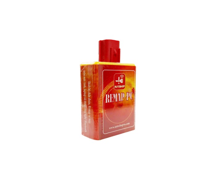 REMAP PC REMAP PC